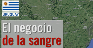 grangasdesangre